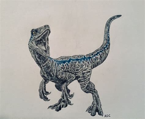 Drawing Of Blue Dinosaur Drawing Velociraptor Drawing Blue Drawings
