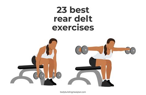23 Best Rear Delt Exercises For 3d Shoulders