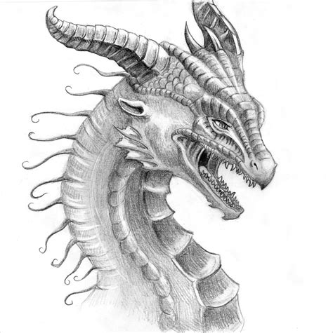 Free 21 Realistic Dragon Drawings In Ai
