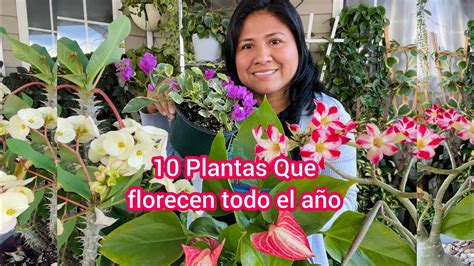 10 Plantas Que Florecen Todo El Año Para Interior Y Exterior Youtube