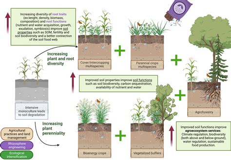 Agroecosystem Restoration For Biodiversity Conservation