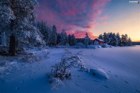 Winter Trees Clouds Viewes Great Sunsets Ringerike Municipality