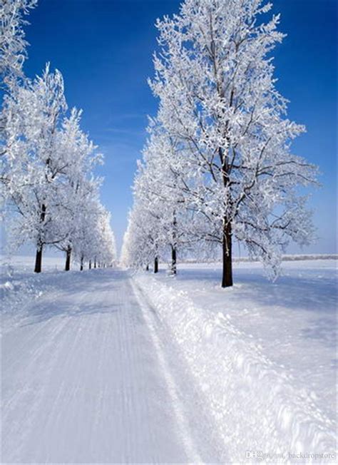2020 Sunny Blue Sky Winter Scenic Photography Backdrops Snow Covered Road White Trees Outdoor