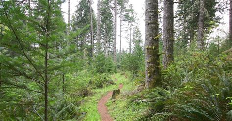 Hike The Red Trail In Miller Woods Mcminnville Oregon