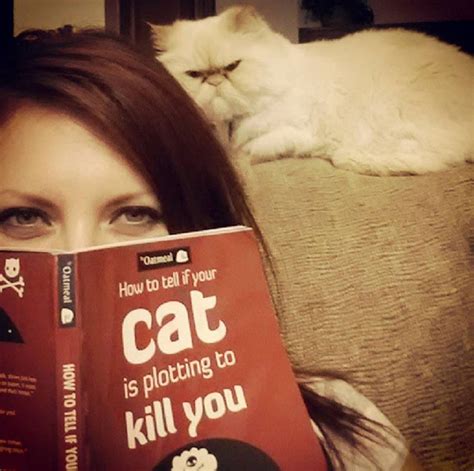 How To Tell If Your Cats Secretly Planning To Kill You Bored Panda