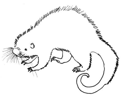 Https://wstravely.com/draw/easy How To Draw A Tree Porcupine