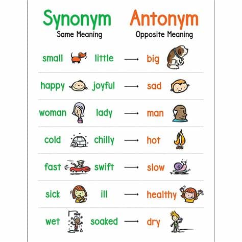 Anchor Chart Synonym And Antonym - SC-823382 | Scholastic ...