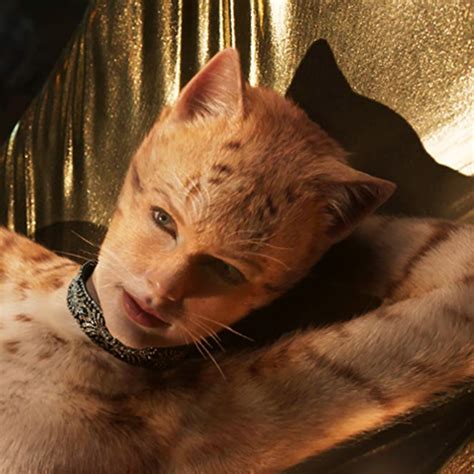 Taylor swift has taken her love of cats to a whole new level. Taylor Swift's 'Cats' Song, ' Beautiful Ghosts,' Lyrics ...