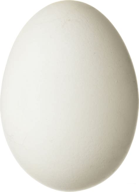 Egg Png Transparent Image Download Size 800x1106px