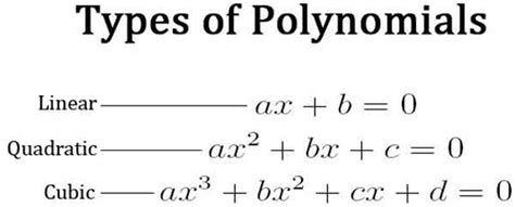 Polynomial Formula ⭐️⭐️⭐️⭐️⭐