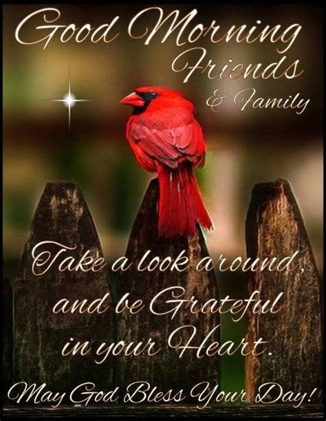 Grateful Heart Good Morning Quote Pictures Photos And Images For