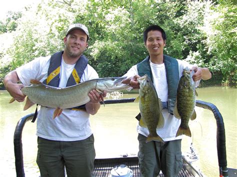 Art Lander’s Outdoors: Kentucky’s Green River Lake features a mixed