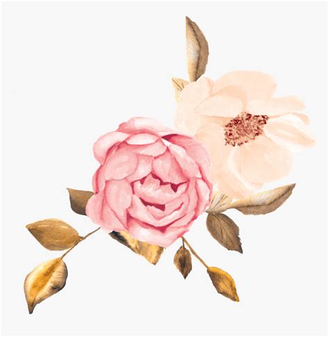 Rose Gold Flowers Clipart Free Gold Roses Cliparts Download Free Gold