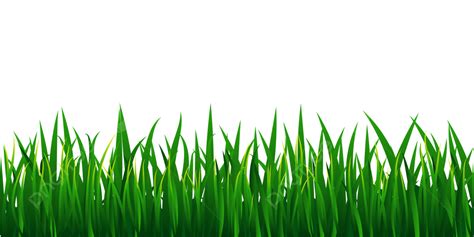 Green Grass Clipart Transparent Png Hd Green Grass Border Grass