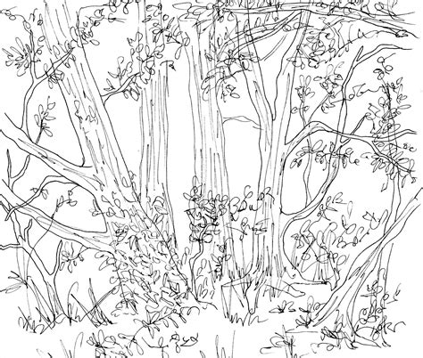 Hand drawn pine forest textured vector illustration. Pencil Drawing Of A Forest at GetDrawings | Free download