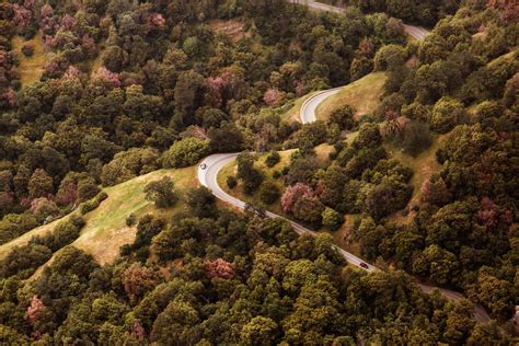 Autumn Birds Eye View Cars Countryside Forest Nature Road Trees