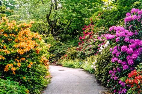 Explore Vandusen Botanical Garden In The Heart Of Vancouver British