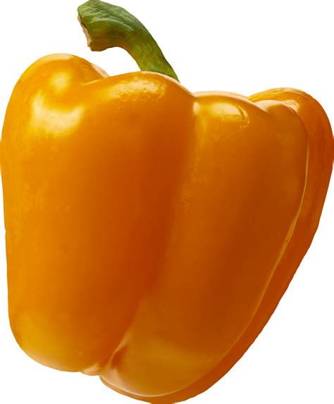 Bell Pepper Png Transparent Image Download Size 1104x1335px