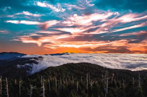 Free Images Nature Forest Horizon Mountain Cloud Sunrise