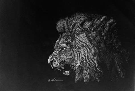Lion Roar Pencil Drawing By Avishjoseph On Deviantart