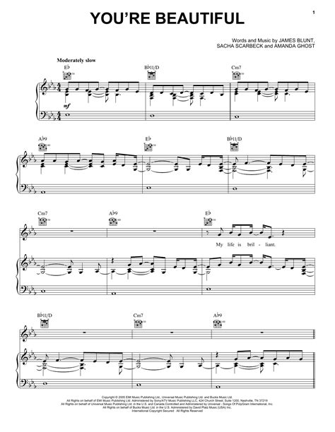 Youre Beautiful Sheet Music James Blunt Piano Vocal And Guitar