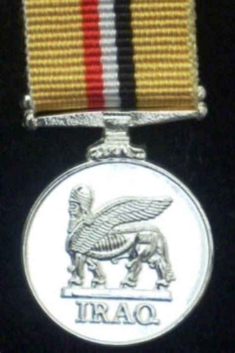 Worcestershire Medal Service Iraq Medal Op Telic Fixed Rod