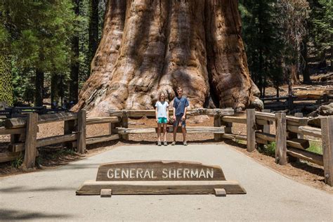One Day Itinerary For Kings Canyon And Sequoia National
