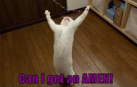 The weather is fine today. can-i-get-an-amen-kitty | 5-6-7-8 Dancing My Way to a ...