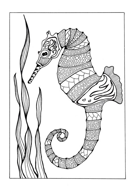 Colors these turned out to have. Colorful Seahorse Adult Coloring Page | FaveCrafts.com