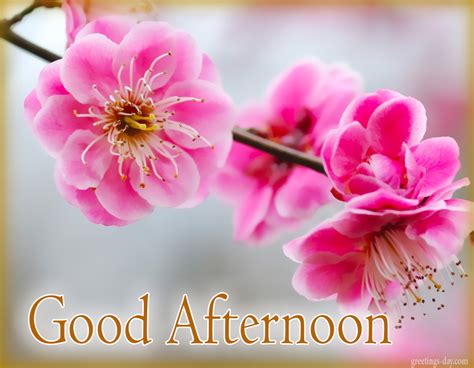 Greeting cards for every day: Good Afternoon - Free Images, GIFs ...