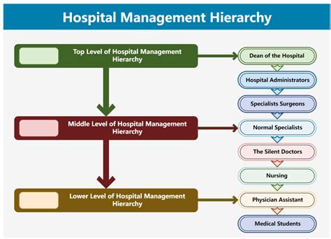 Hospital Jobs Hierarchy Hierarchical Structures And Charts Hot Sex Picture