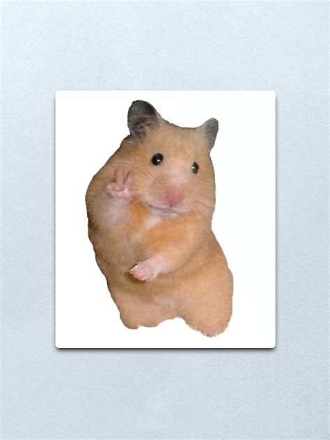 Peace Sign Hamster Metal Print For Sale By Kate Designs Redbubble