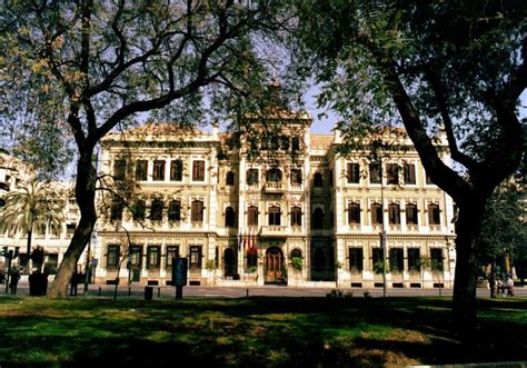 About universidad católica san antonio de murcia. Redsamid | UNIVERSIDAD DE MURCIA