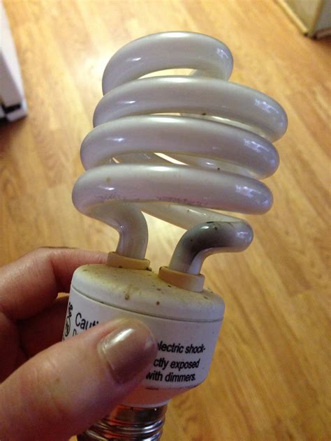 We did not find results for: How our house almost burned down because of a CFL bulb ...
