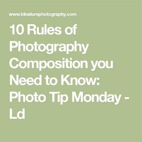 10 Rules Of Photography Composition You Need To Know Photo Tip Monday