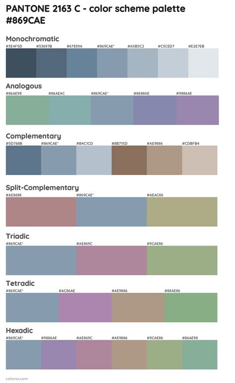 Pantone 2163 C Color Palettes And Color Scheme Combinations