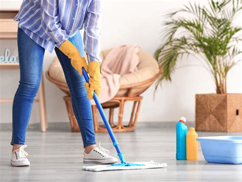 Regular House Cleaning Services Melbourne By Professional Cleaners