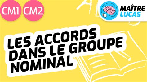 Les Accords Dans Le Groupe Nominal Cm Cm Ma Tre Lucas