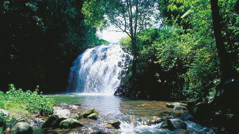 Atherton Tablelands Vacations 2017 Package And Save Up To 603 Cheap