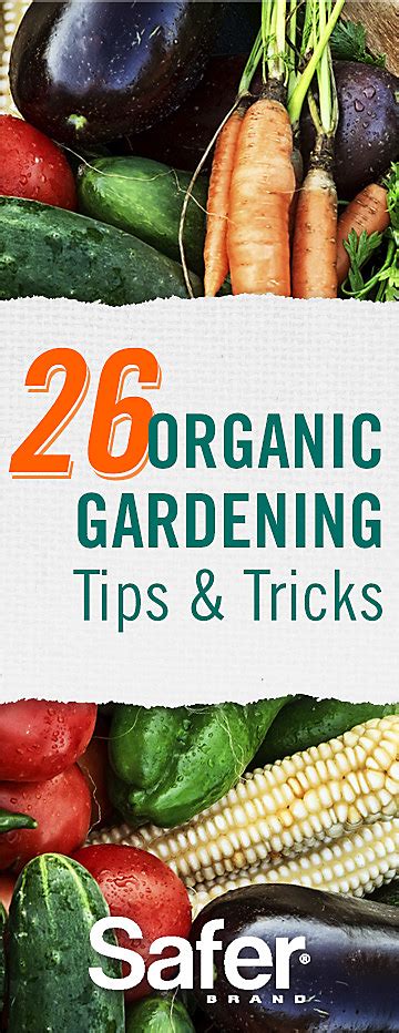 26 Organic Gardening Tips And Tricks