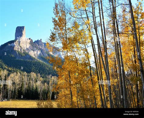 Colorado In The Fall With Golden Aspen Trees Stock Photo Alamy
