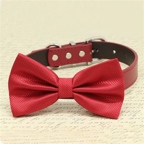 A Red Bow Tie On A Dog Collar
