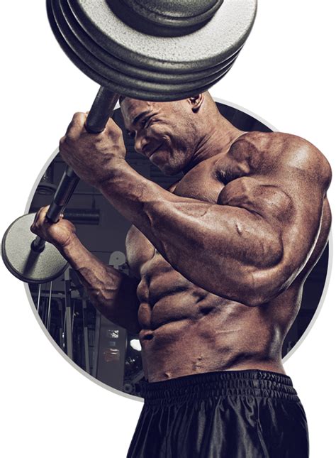 Muscle Png