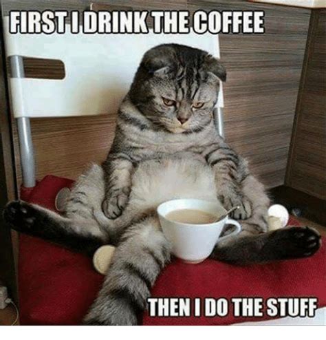 You can instantaneously cat drinking coffee memes pictures to share on tumblr, facebook. Drinking, Memes, and Coffee: FIRST I DRINK THE COFFEE THEN ...