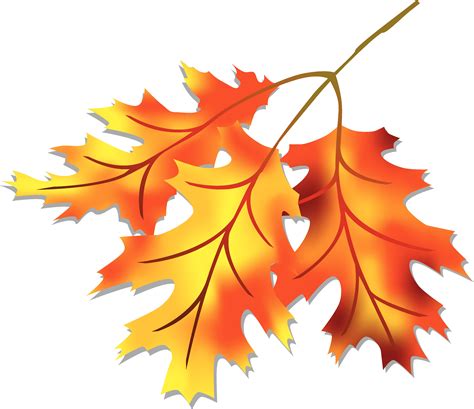 Fall Leaves Colorful Clip Art For The Fall Season Tree With Falling