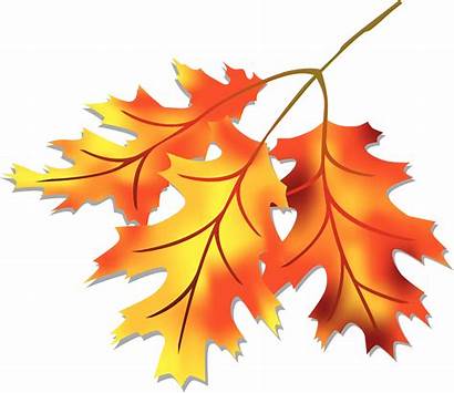 Leaves Fall Clipart Clip Clipartion