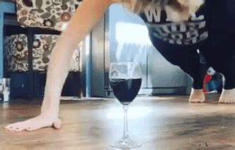 You Can Now Legitimately Work Out While Drinking Wine