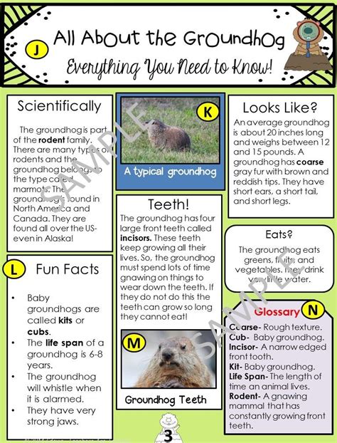 Groundhog Day Nonfiction Task Cards | Articles for kids, Groundhog day