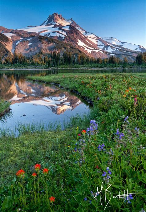 Mount Jefferson Reflection And Wildflowers Oregon Outdoors Jefferson