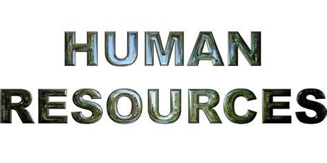 Develops organization strategies by identifying and researching human resources issues; Internship Resurse Umane la Aneva Human Resources ...